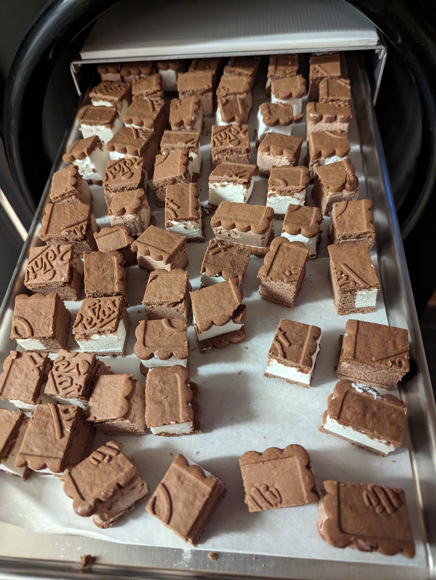 Frystorkad glassandwich choklad/vanilj